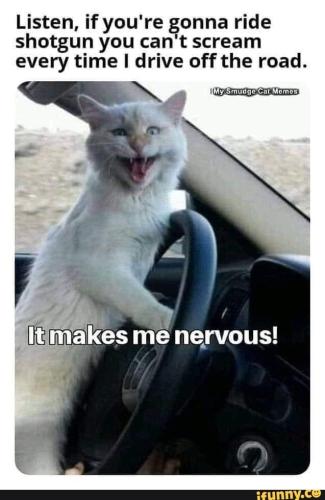 47955a9f-e4f2-4456-9400-c9597c73acc5