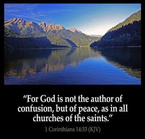 FB_IMG_1665669661872