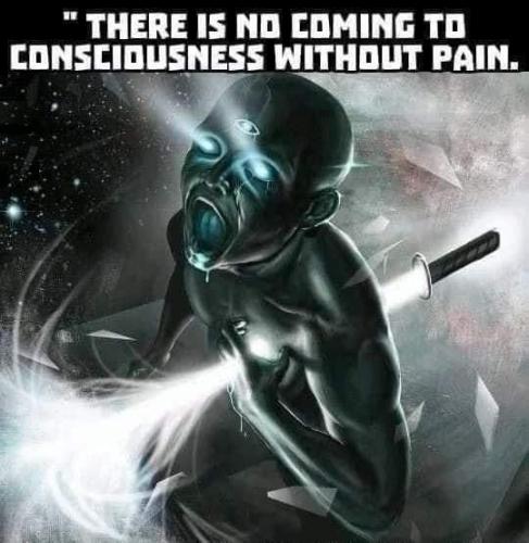 087dfd13-d590-4fa3-a343-2a20160f7199