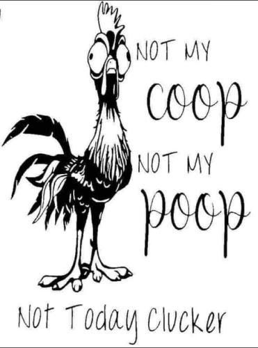 121696849_10221631453114150_60215668331502610_n