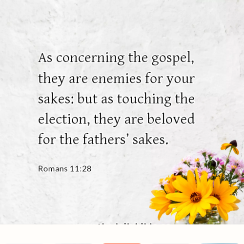 dailybible_20221007-020313_Romans_11-28