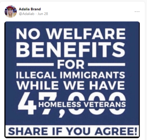 Illegals 1