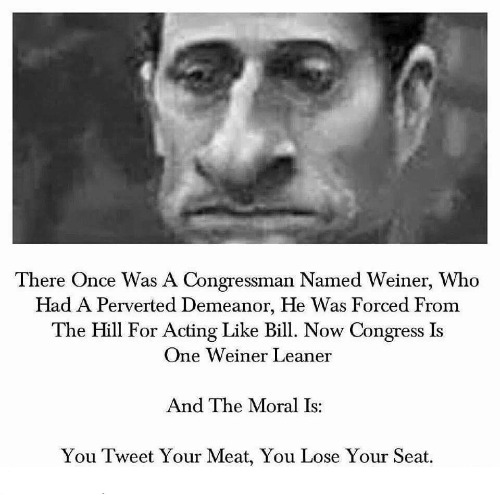 You tweet your meat you lose your seat MASTER COPY