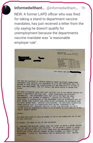 snapshot_www.minds.com_1666200861335