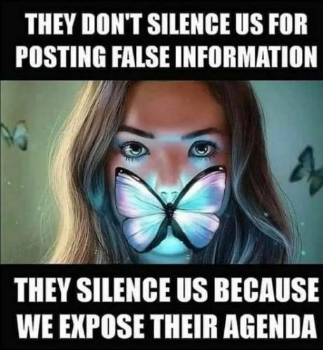 they dont censor us because we are posting false information