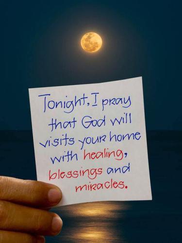 312052778_199187586044253_1884679927960865987_n