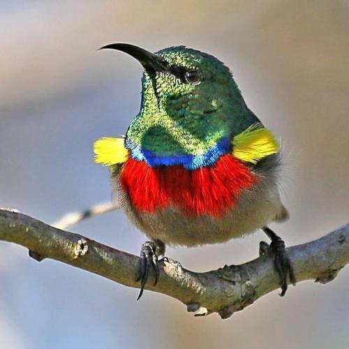 tumblr_293fcba4ac2320d3a7f25d366640e22b_d65fc8b6_1280