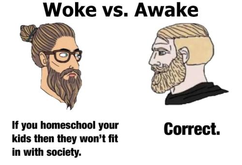 Woke vs Awake 729px