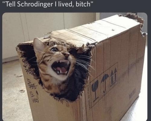 18:40:36 GMT-0400 (Eastern Daylight Time).image