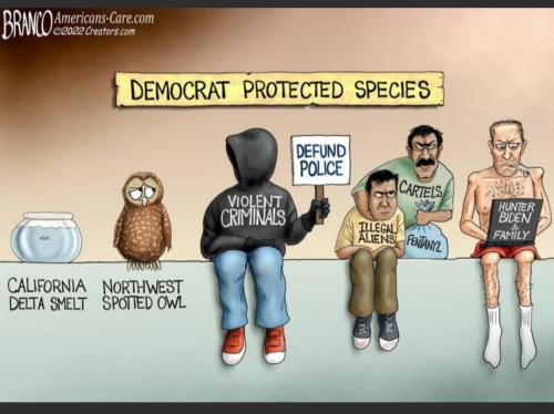 Screenshot_20221021-092903_MeWe