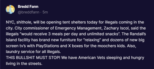 Illegals 1
