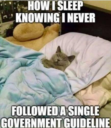 Screenshot_20221004_080004