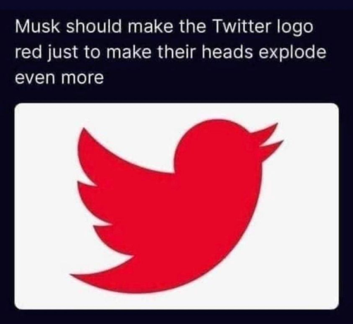 Elon-conservative_twitter