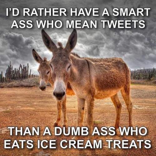 FB_IMG_1665317230384