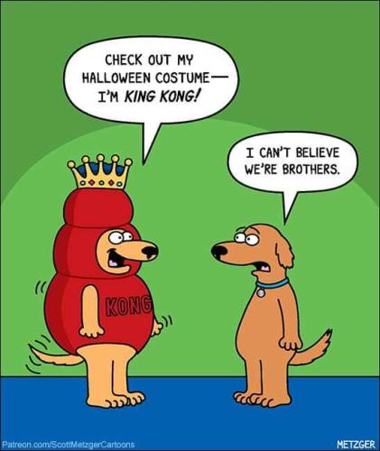 34e84f26-6f60-4292-a5f1-3e2a628cd625