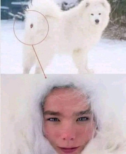 e3832235-9421-405f-9b37-ccbf1aaeffcc