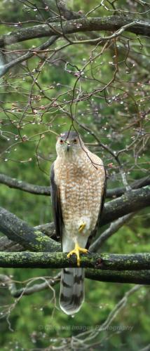 tumblr_740b4ec006c621bce473b9e3ef49102a_860b38af_1280