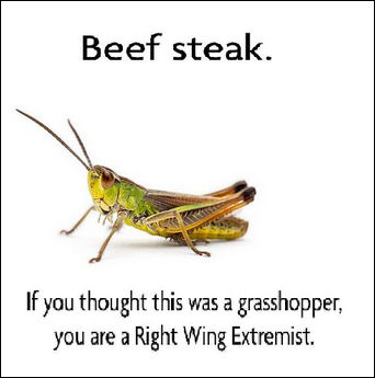 extremists12