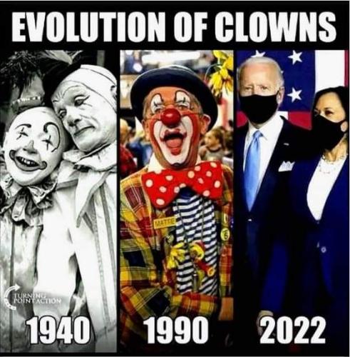 FB_IMG_1666426498886