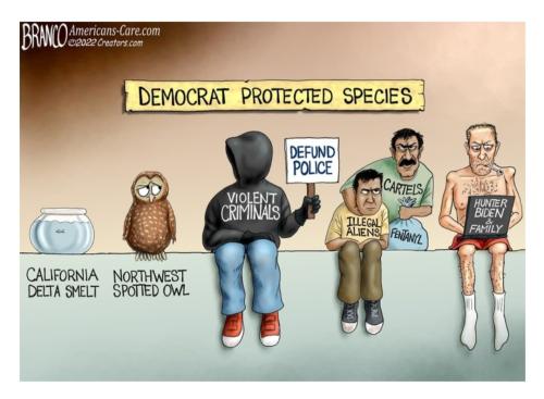 Screenshot_20221020-103939_Outlook