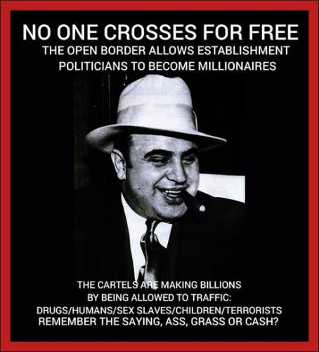 illegal immigration297