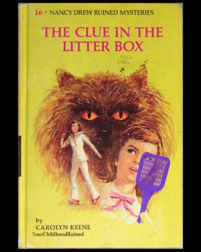 311005160_469507445204613_4095384168886849750_n