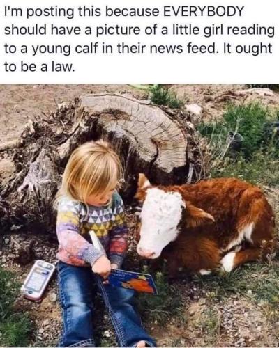 FB_IMG_1665618378968