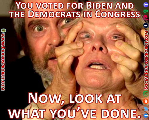 Bird Box - Biden Voter - Web-Social