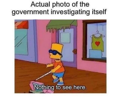 the government investigating itself