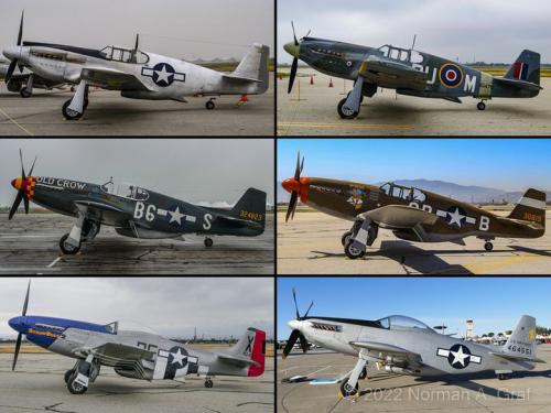 313337918_10217601677113932_5329476568726740877_n