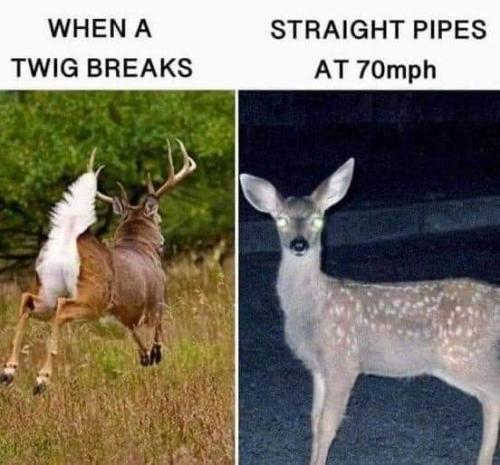 FB_IMG_1666549887681