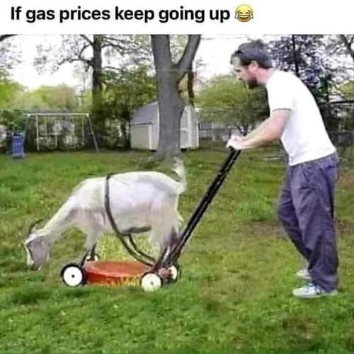 FB_IMG_1666200006265