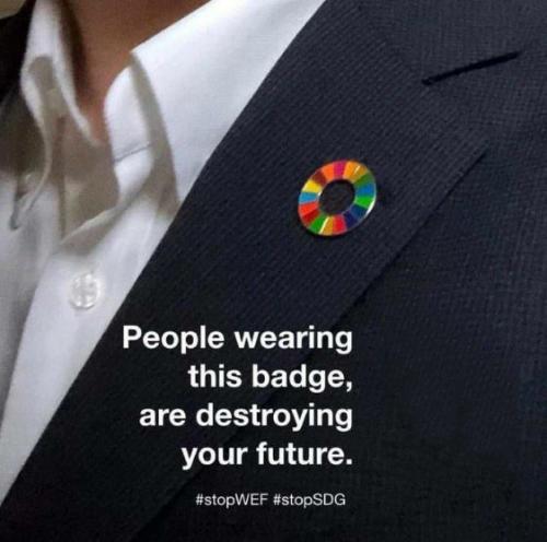 world economic forum15