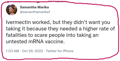 snapshot_twitter.com_1667071686322