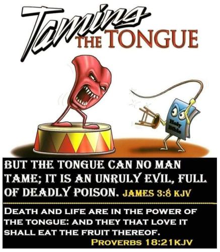 FB_IMG_1665670143046