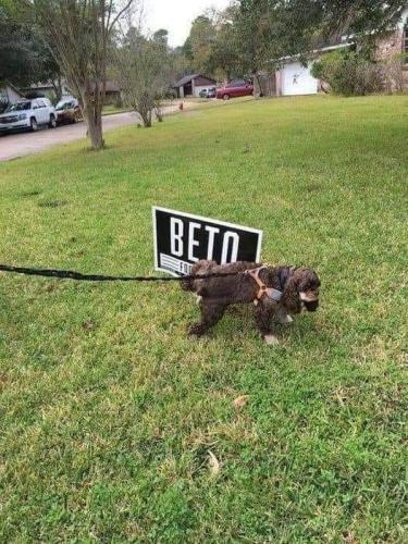 FB_IMG_1664737332841