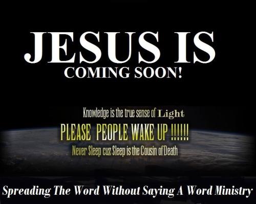 12208705_948957558519709_1688210218820018392_n