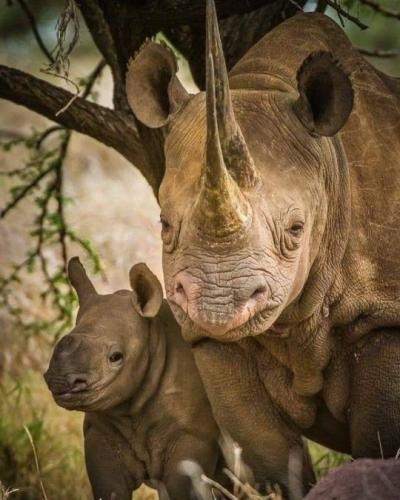 tumblr_3457568294ccc1d58c346cc44c35eb1a_ddaa5df9_540