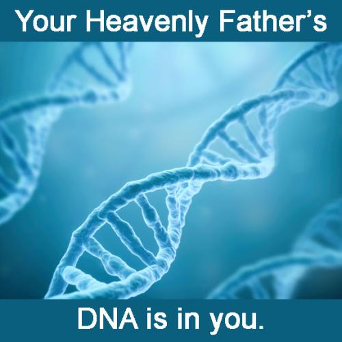 DNA