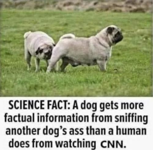 tumblr_c782320534e49835f7413223df4287af_1fb116a4_540