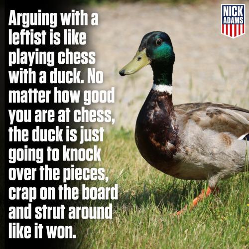 311589753_659965792152440_5563693352773407578_n