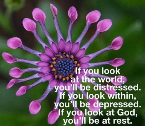 FB_IMG_1666616687173