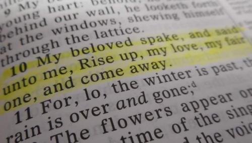 FB_IMG_1666702813269