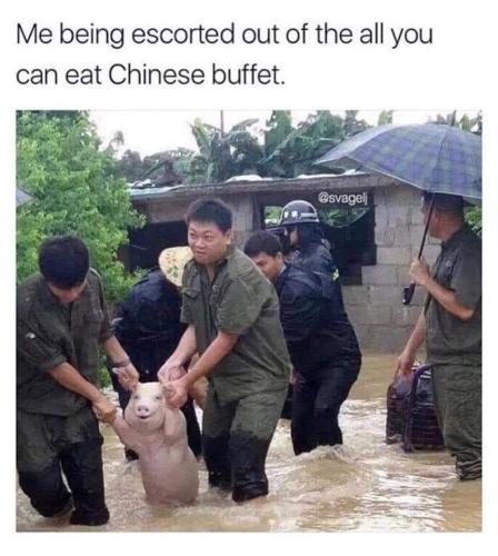 FB_IMG_1666809315218
