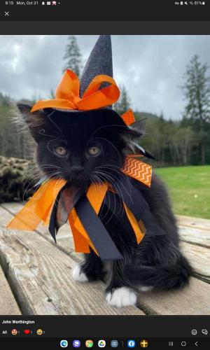 08:18:07 GMT-0400 (EDT)