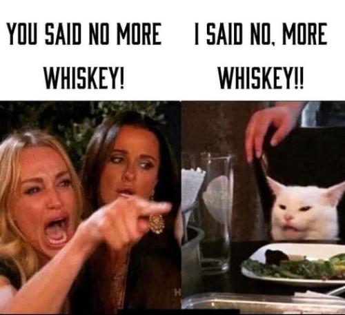 293420528_6287834305112_3253140823338546800_n