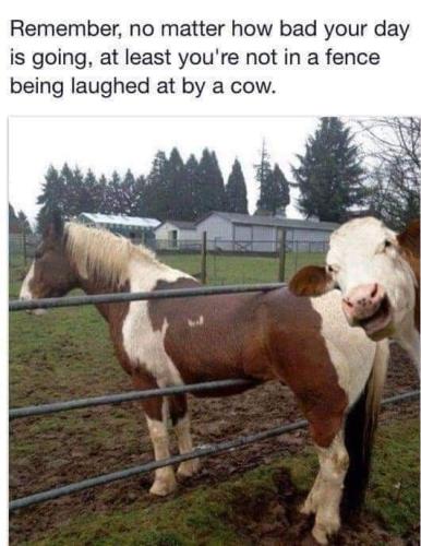 FB_IMG_1665597686408