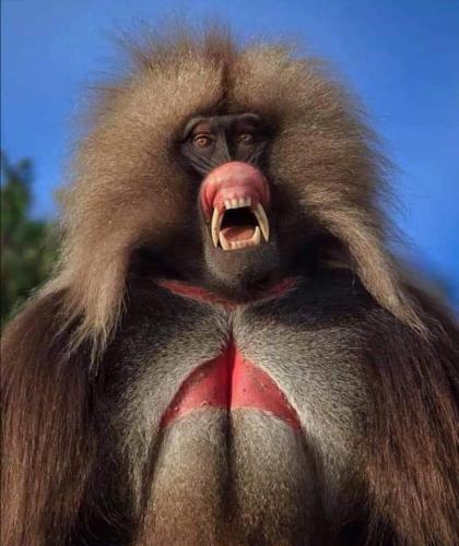 309204615_8476152605735939_9001260648248283912_n