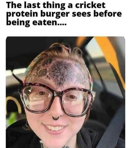 e7574cb8-1da4-493e-8338-ee700b2700f7