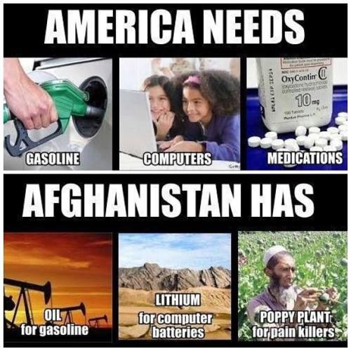 88e72819-fed5-4632-aeae-1cea2def9709